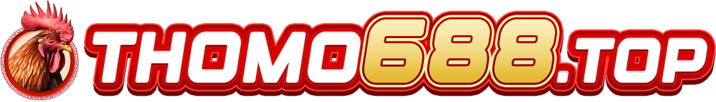 thomo688.top
